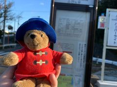 -南紀白浜 浜千鳥の湯 海舟