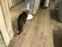 -小时光咖啡馆(开森度假森林店)