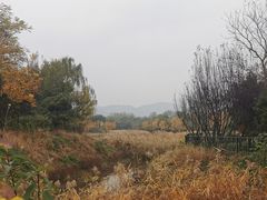 -北坞公园