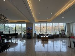 -刘健艺术钢琴学校·专注钢琴教育25周年(徐家汇校区)