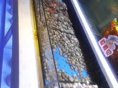 -聚盛源蒸汽海鲜火锅烤肉自助(巨川金海岸购物广场店)