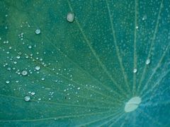 -沐仙湖湿地公园