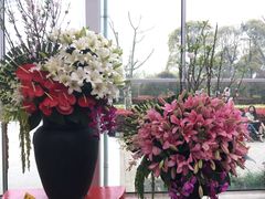 -上海鲜花港