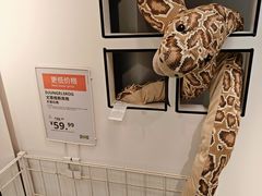 -IKEA宜家家居(南京商场)