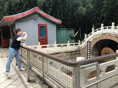 -红螺寺