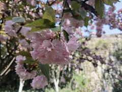 -广迎居老正兴菜馆
