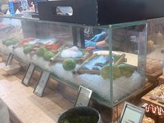 -大中华希尔顿酒店-念自助餐·嗨啤·小龙虾