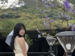 -Lamant Manor已闻花名关於蓝