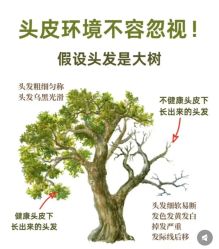 -Bollins波林丝•专研护发中心