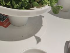 -烹然四季椰子鸡火锅(姚家园万象汇店)