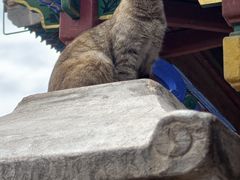 -高庙保安寺