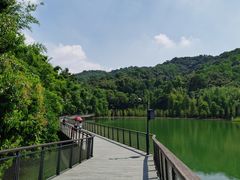 -广州市白云山风景名胜区
