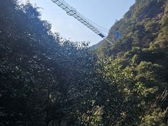 -宁波五龙潭景区