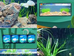 -海合安成都极地海洋公园