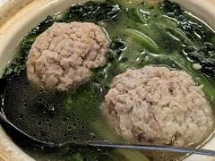 -丁老爷子苏香圆