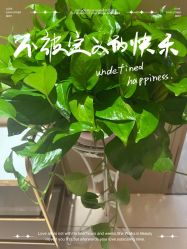 -禧贝阁母婴呵护中心(市图书馆店)