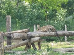 -北京野生动物园