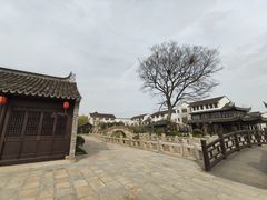 -东台西溪天仙缘景区