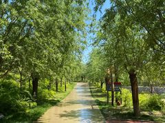 -西部长青自然儿童乐园