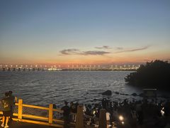 -宝安西湾红树林湿地公园