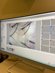 -史云逊养发护发