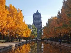 -玲珑塔公园