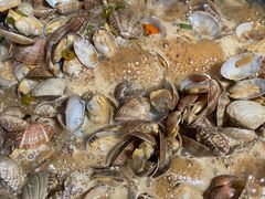 -青石桥市场北1-27号