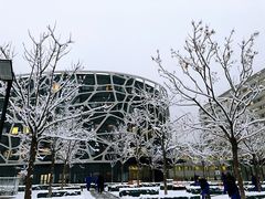 -首都医科大学附属北京天坛医院