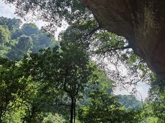 -碧峰峡风景区