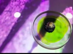 -良设夜宴 LIANGSHE