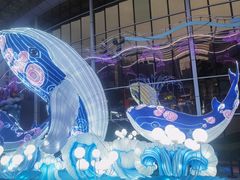 -海合安成都极地海洋公园