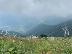 -白草畔自然风景区