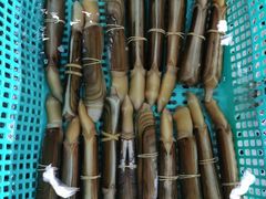 大堂-浩运海鲜·16年专注青岛菜(石老人店)