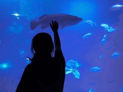 -福州罗源湾海洋世界旅游区