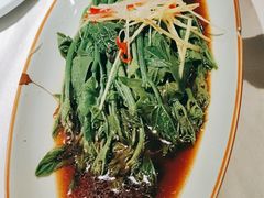-雲蜀龙阁·金牌水煮鱼(方庄店)