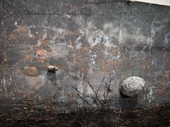 -金泽21世纪美术馆