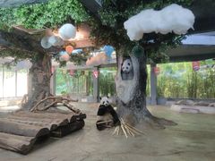 -海南热带野生动植物园