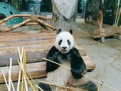 -海南热带野生动植物园