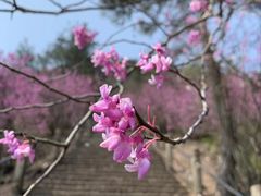 -天台山赤城山景区