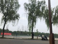 -洨河生态公园
