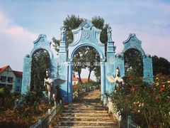 -大塘金香草谷