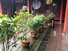 -峨眉山报国寺