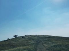 -恋山坝上草原