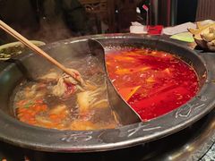 -蜀大侠火锅(总府路店)