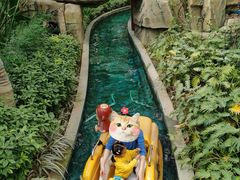 -南宫五洲植物乐园