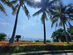 -观海轩餐厅(一线海景店)