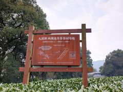-西湖风景区十里琅珰-五云山