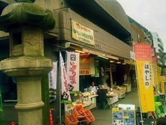 -水前寺成趣园