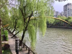 -运河游船(武林门码头)