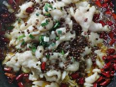 -金三可市井水煮鱼(金碧园店)